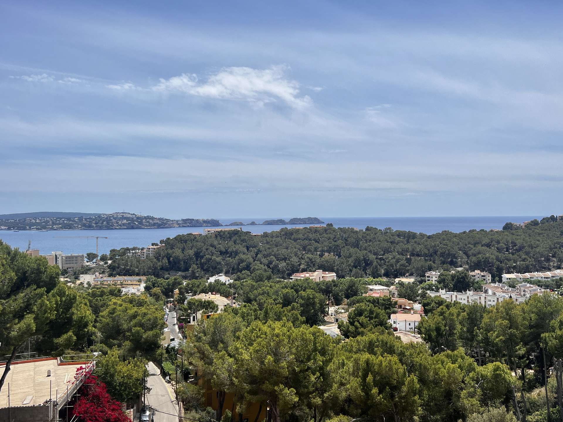 [object Object] - image