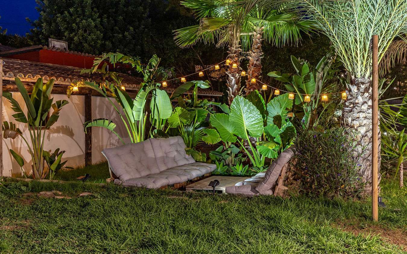 [object Object] - image