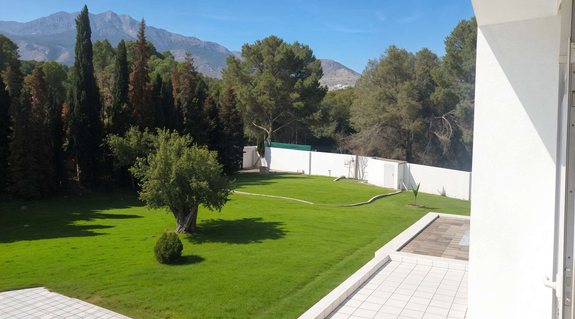 [object Object] - image