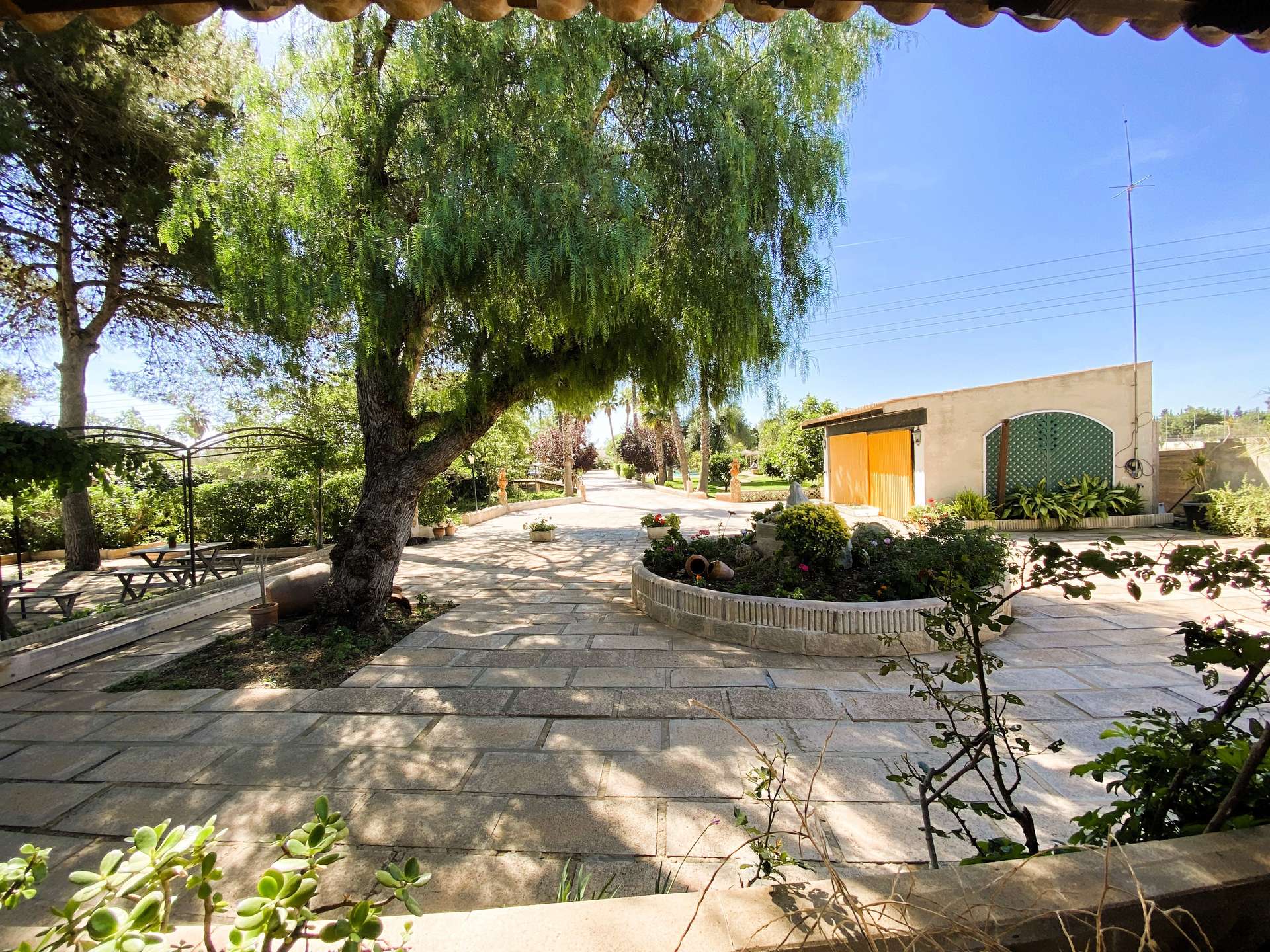 [object Object] - image