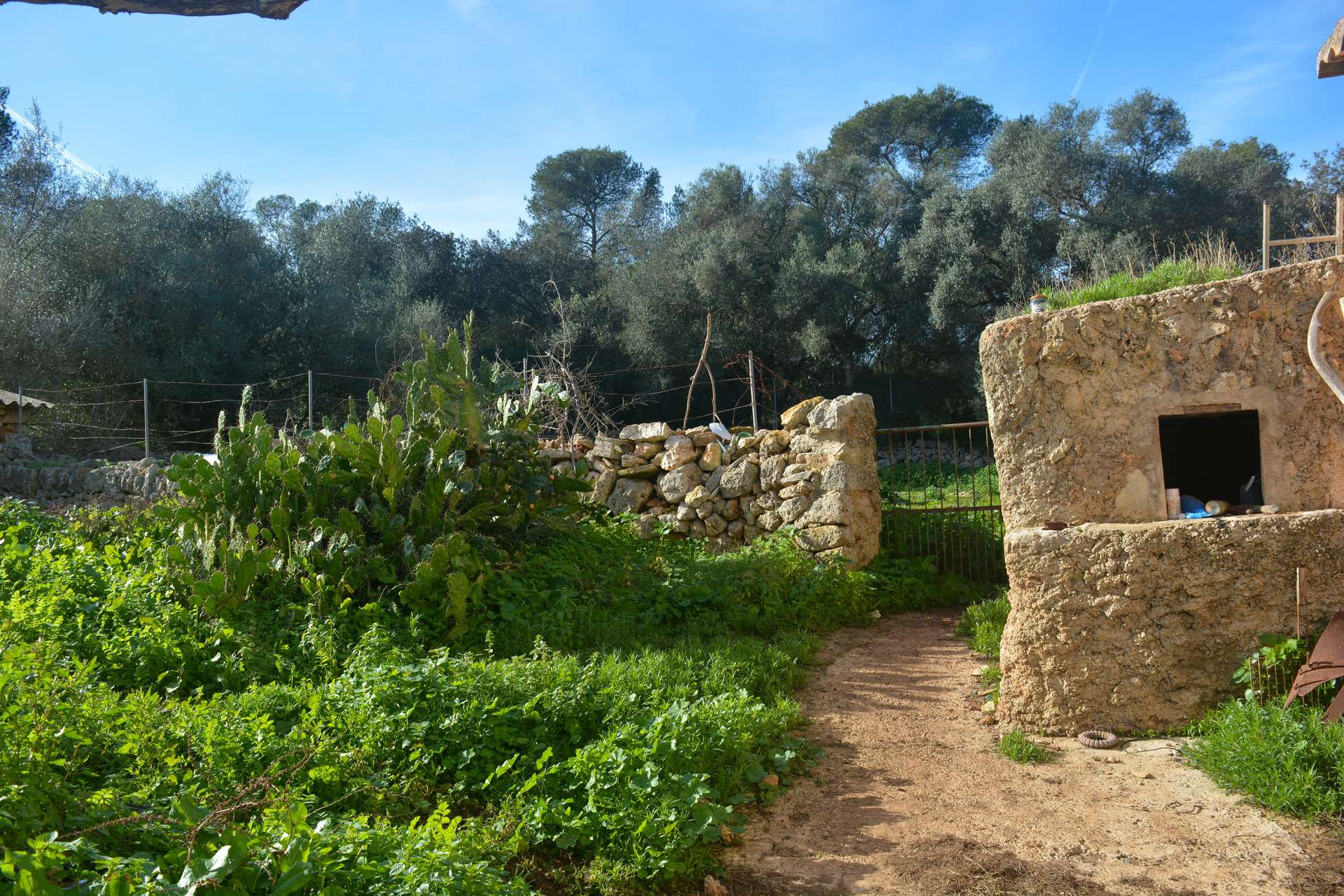 [object Object] - image