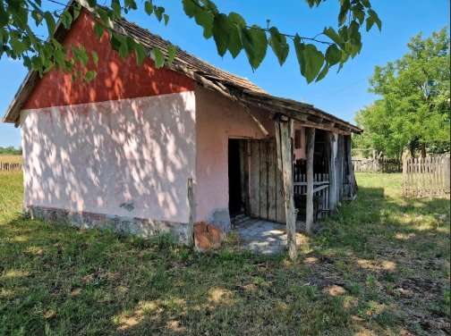 [object Object] - image