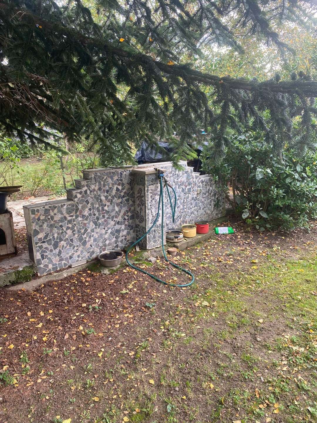 [object Object] - image