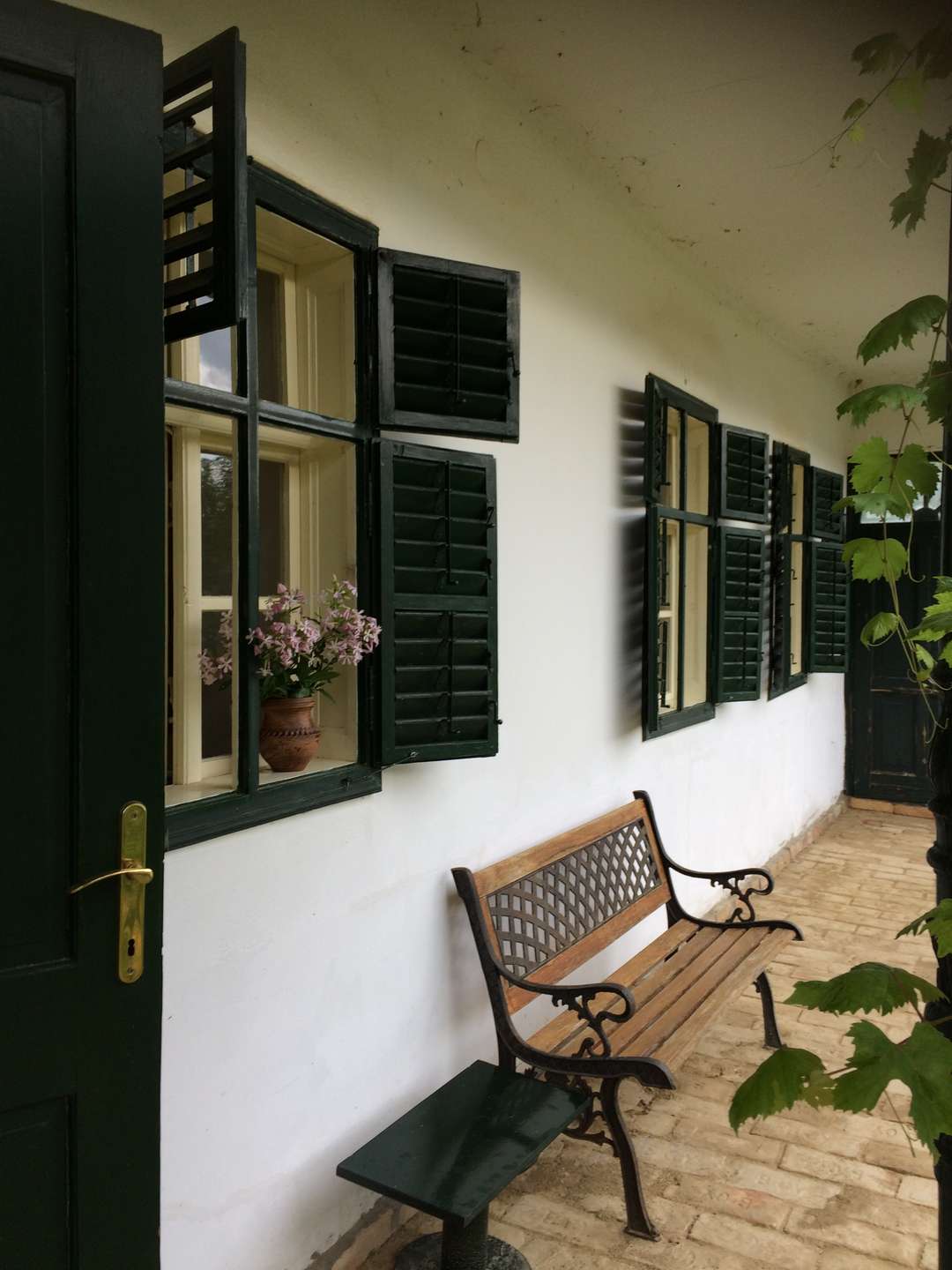 [object Object] - image