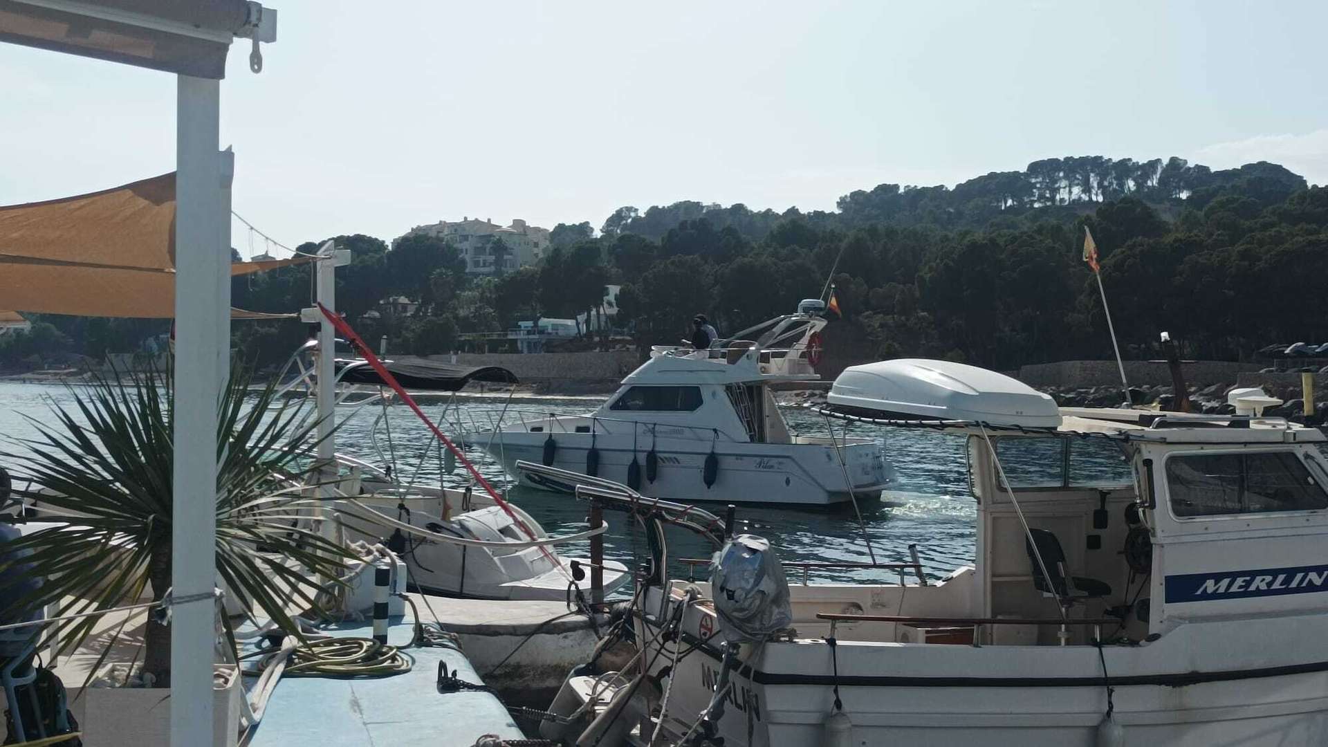 [object Object] - image