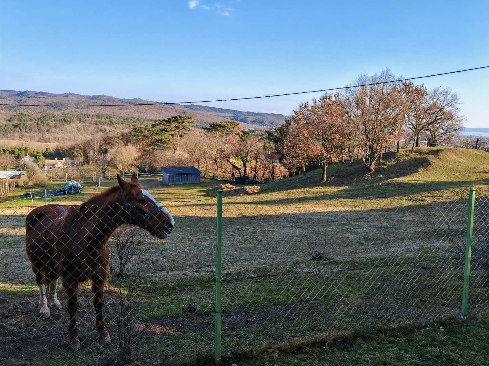 [object Object] - image