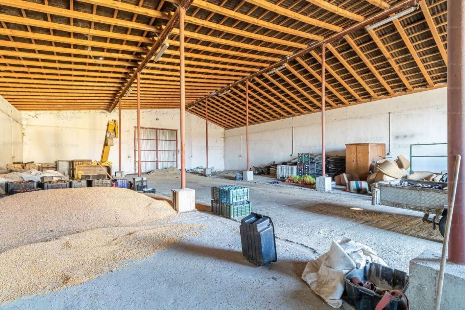 [object Object] - image