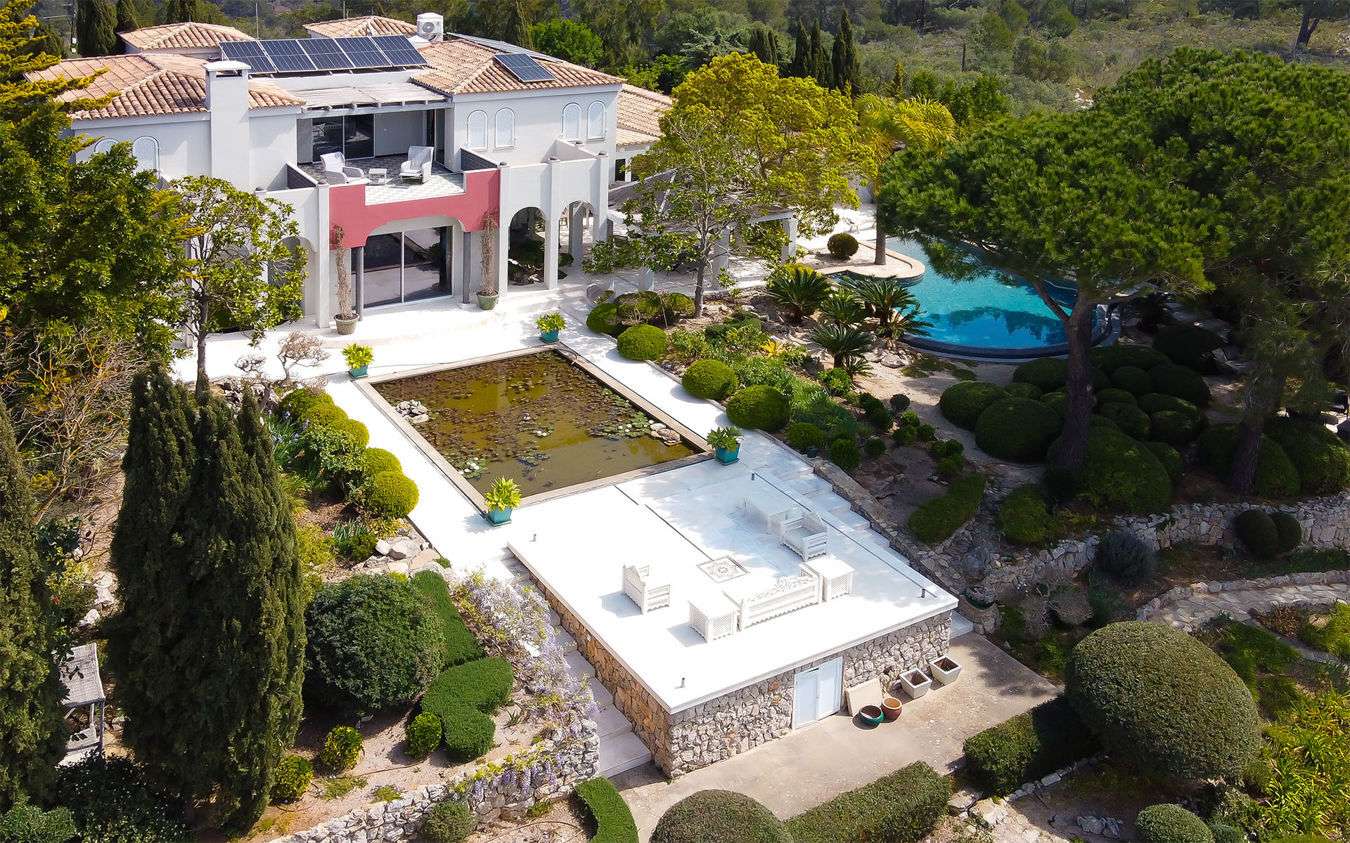 [object Object] - image