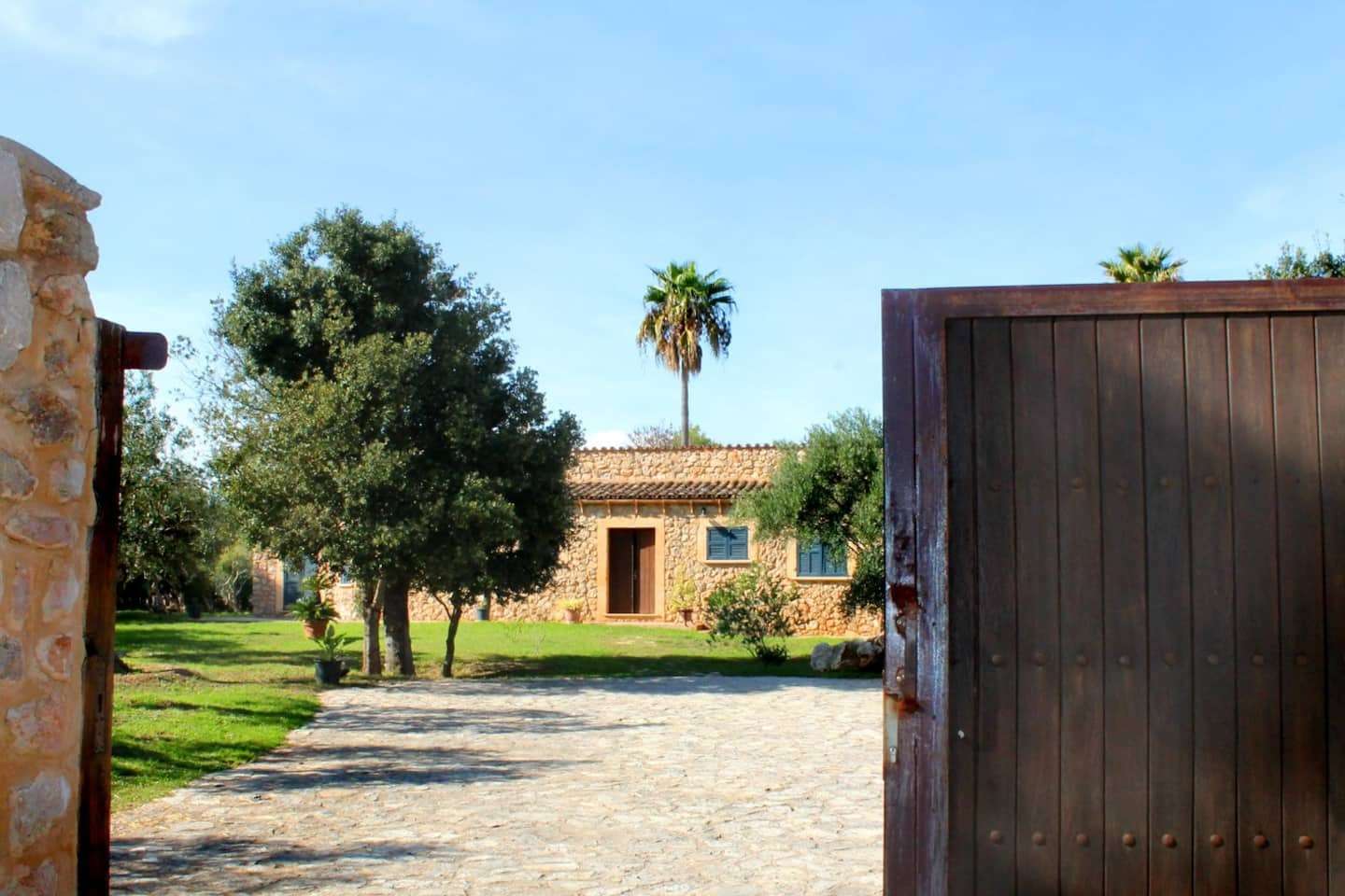 [object Object] - image