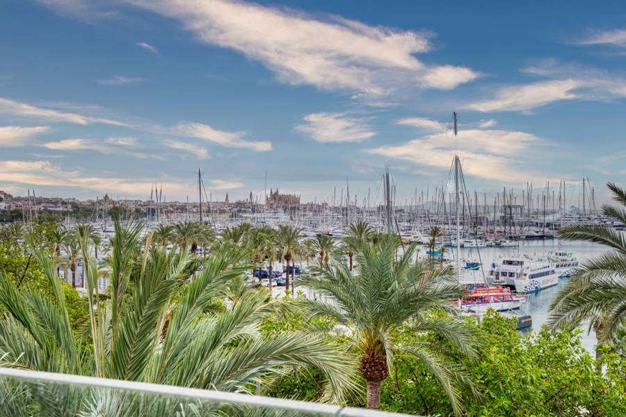 [object Object] - image