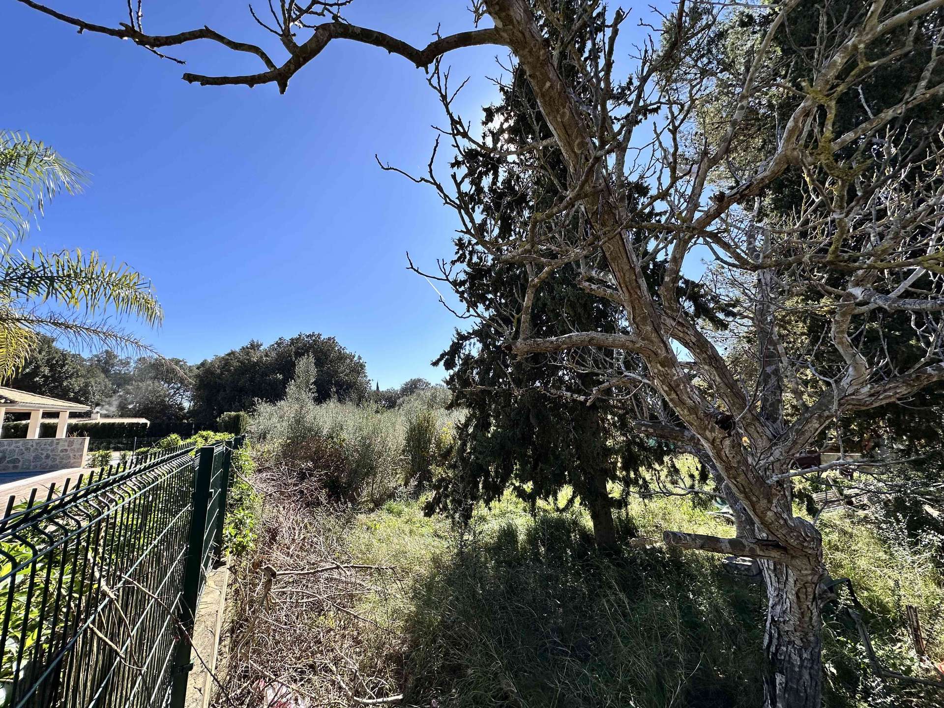 [object Object] - image