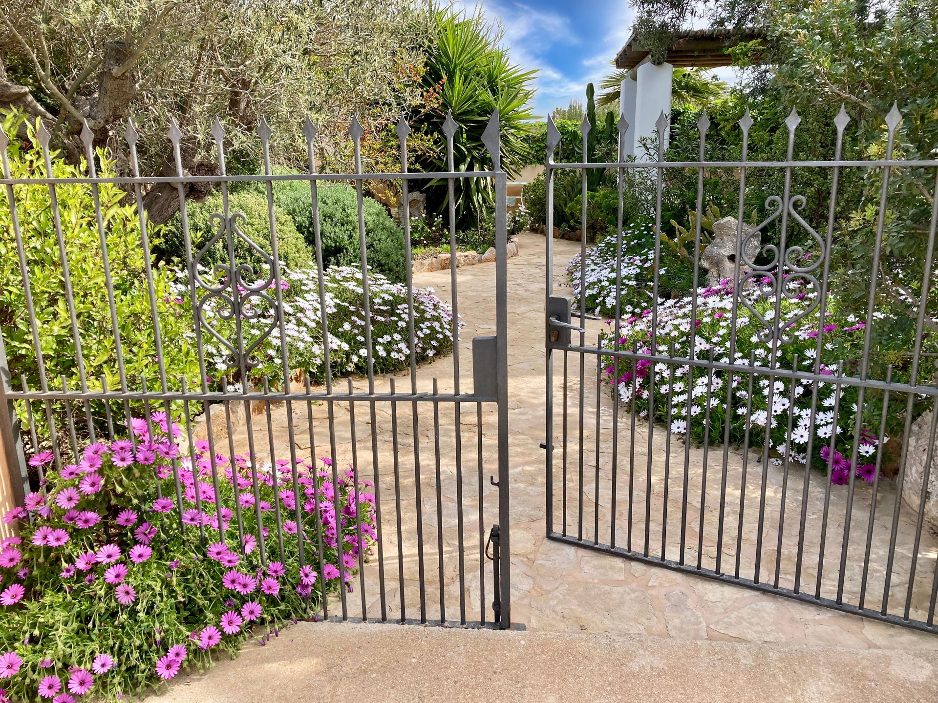 [object Object] - image