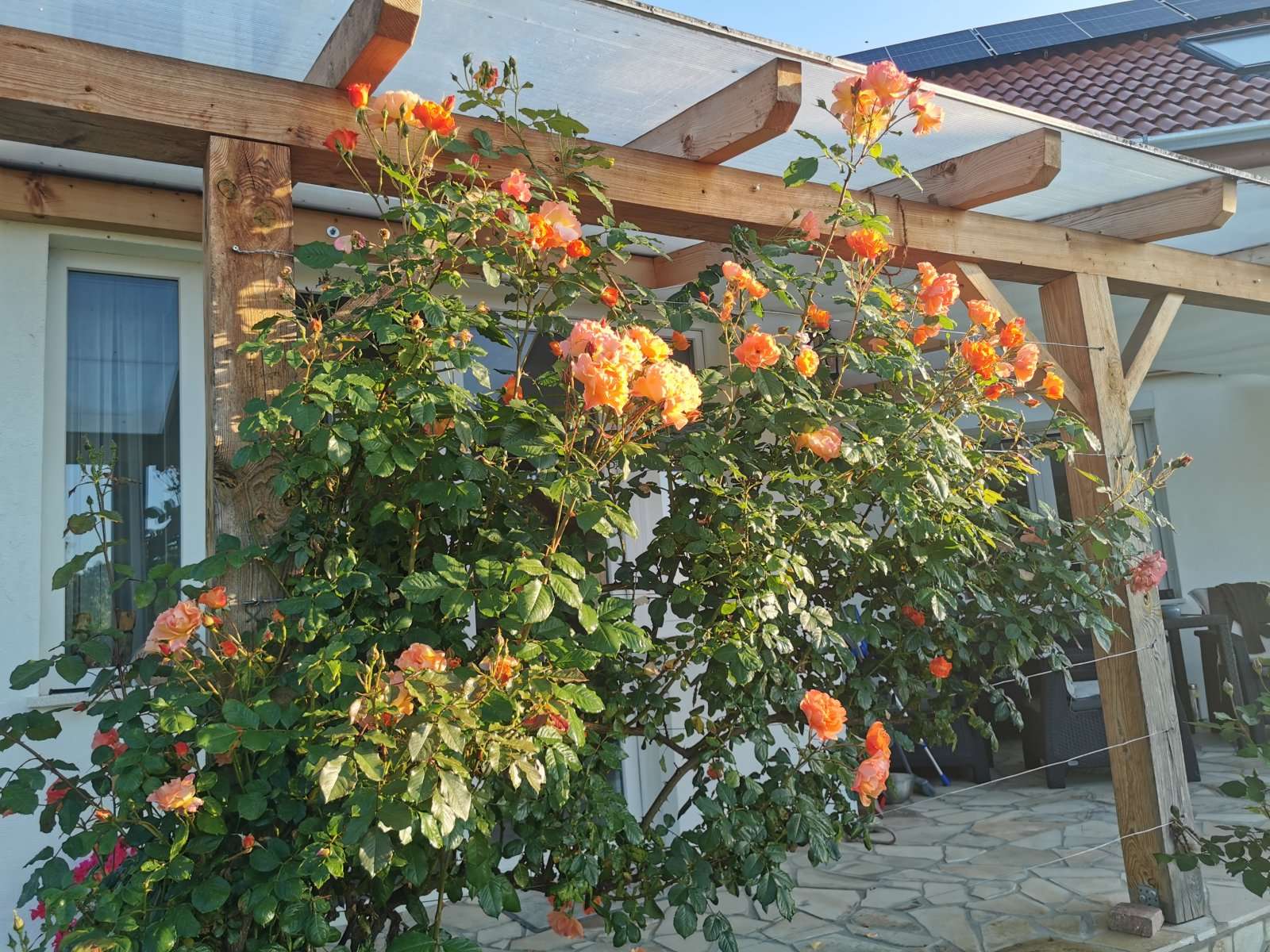 [object Object] - image