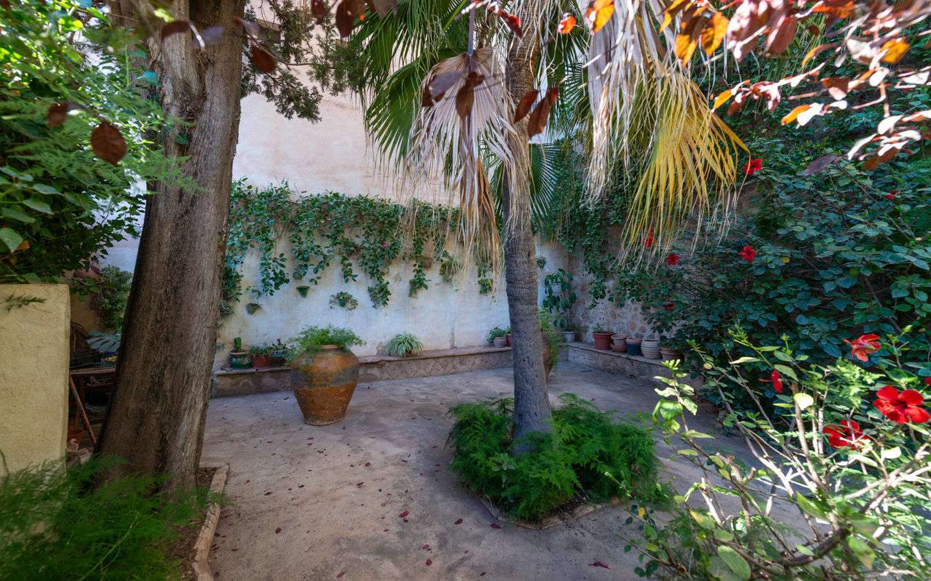 [object Object] - image