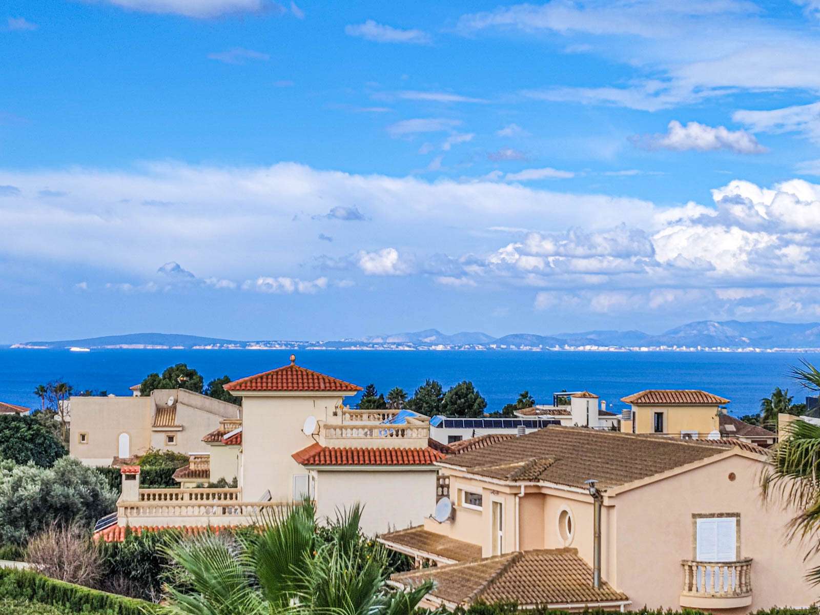 [object Object] - image