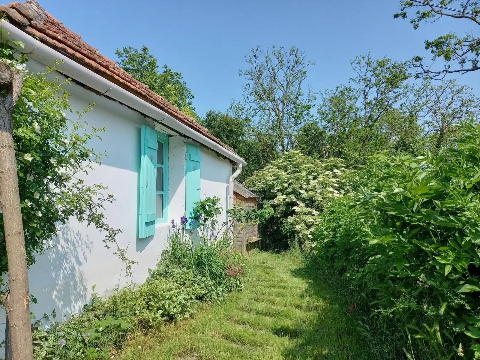 [object Object] - image