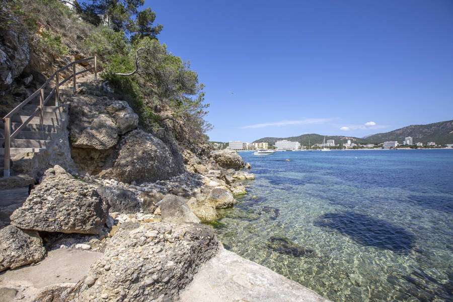 [object Object] - image