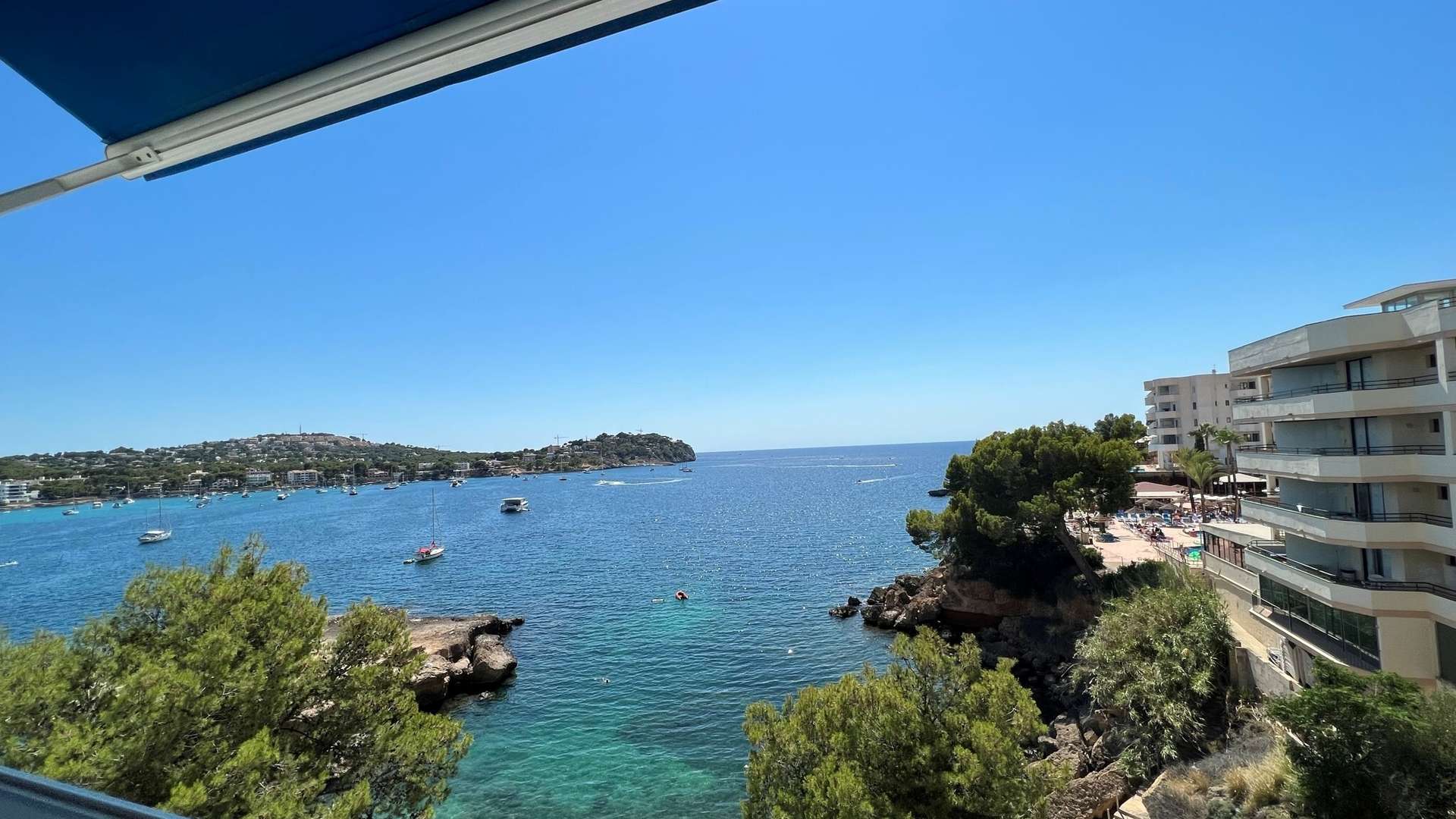 [object Object] - image