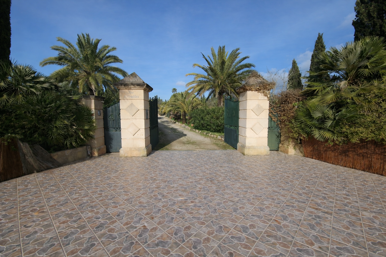 [object Object] - image