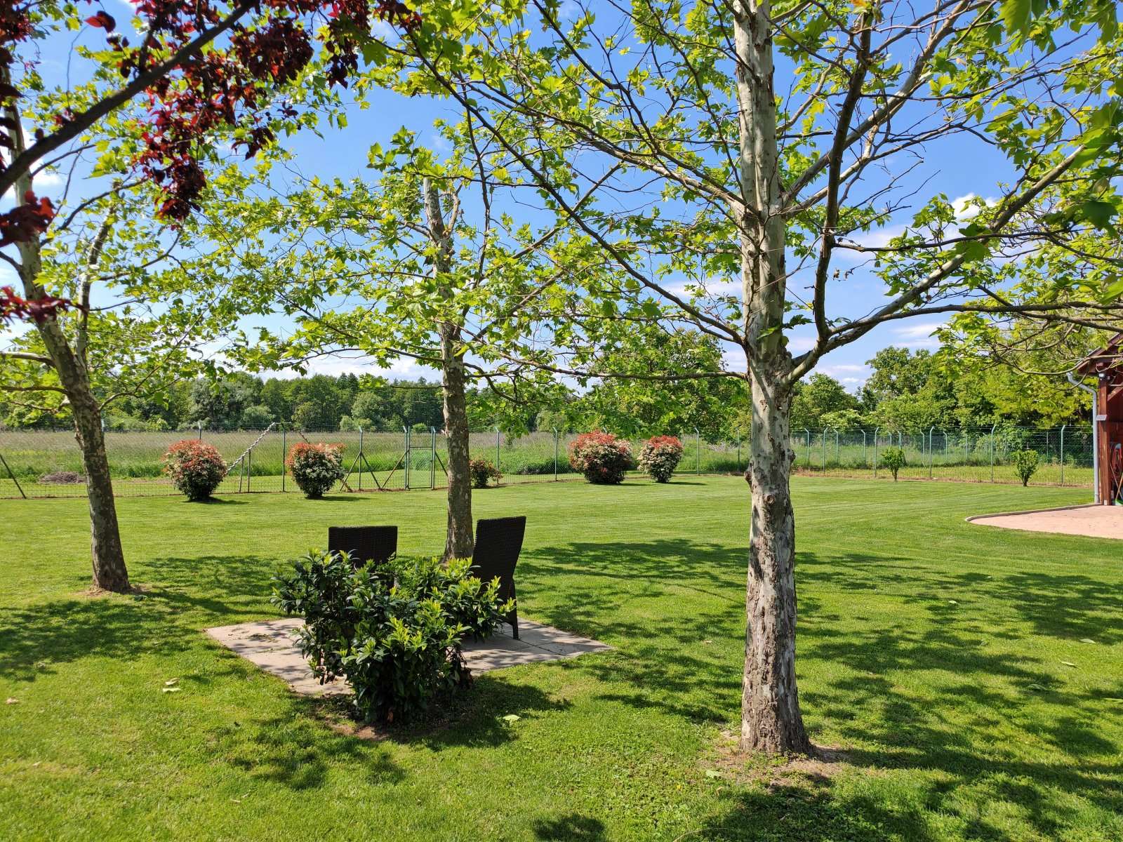 [object Object] - image