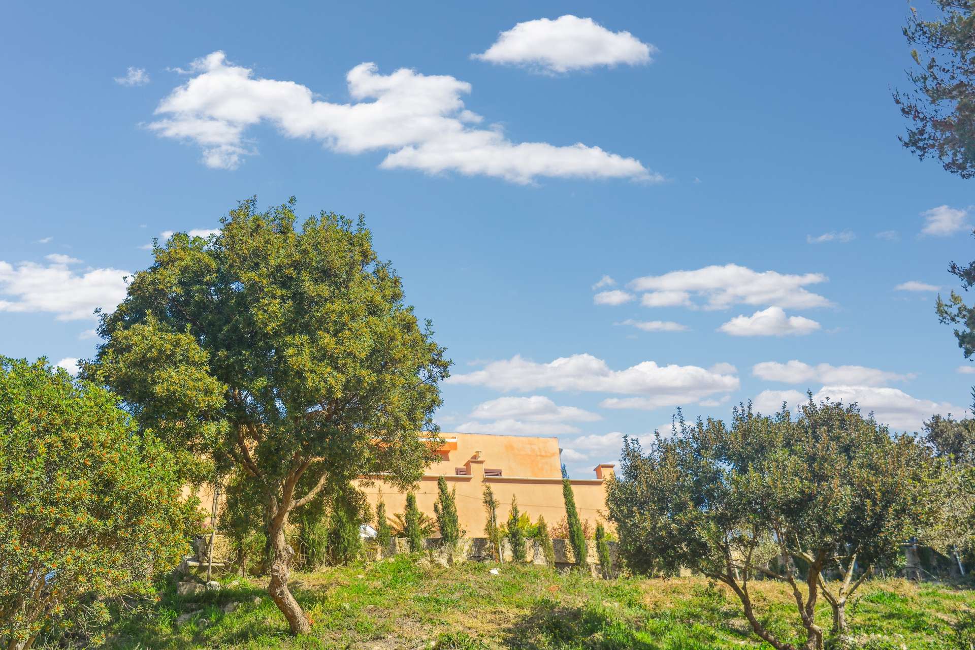 [object Object] - image