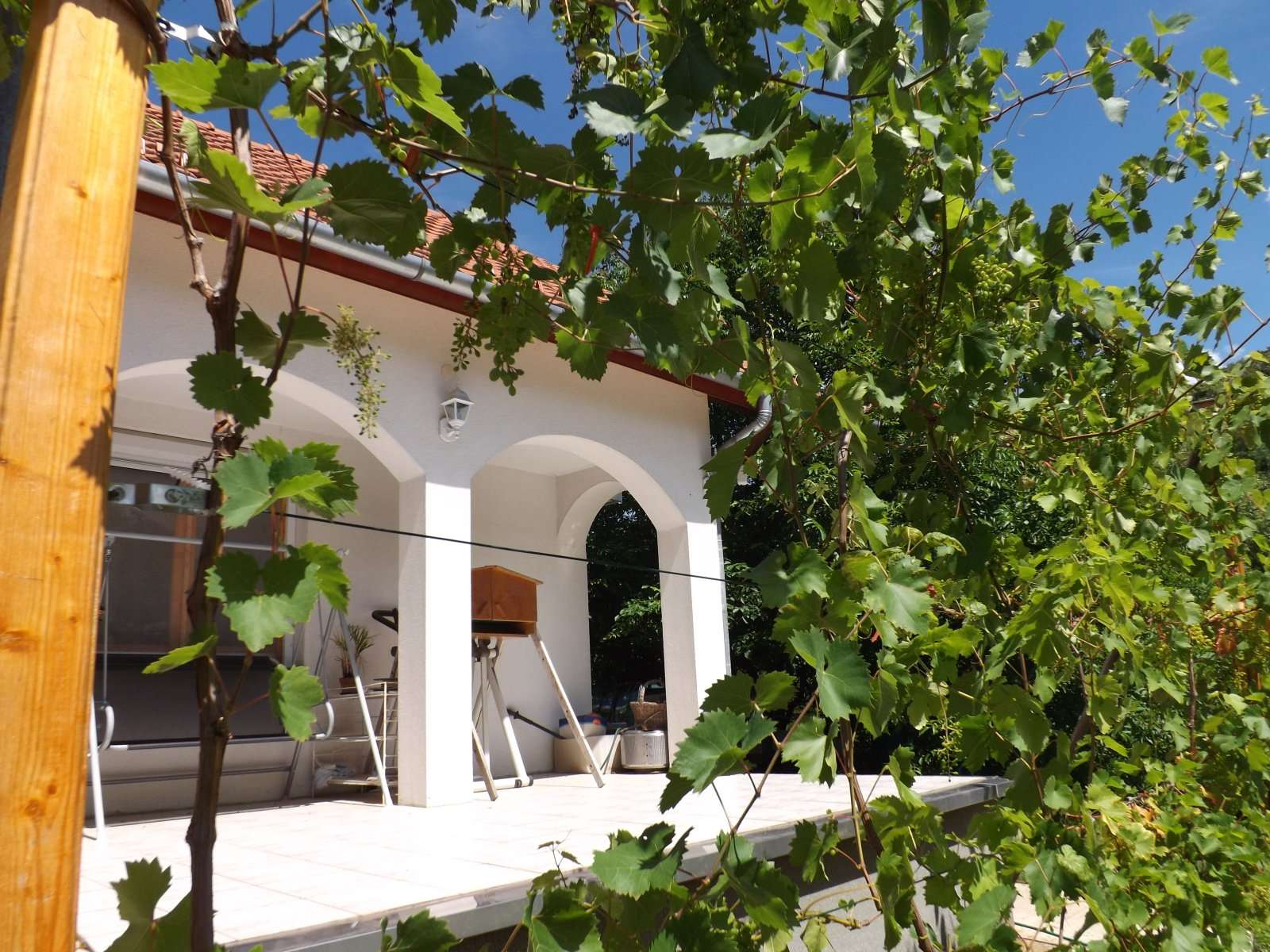 [object Object] - image