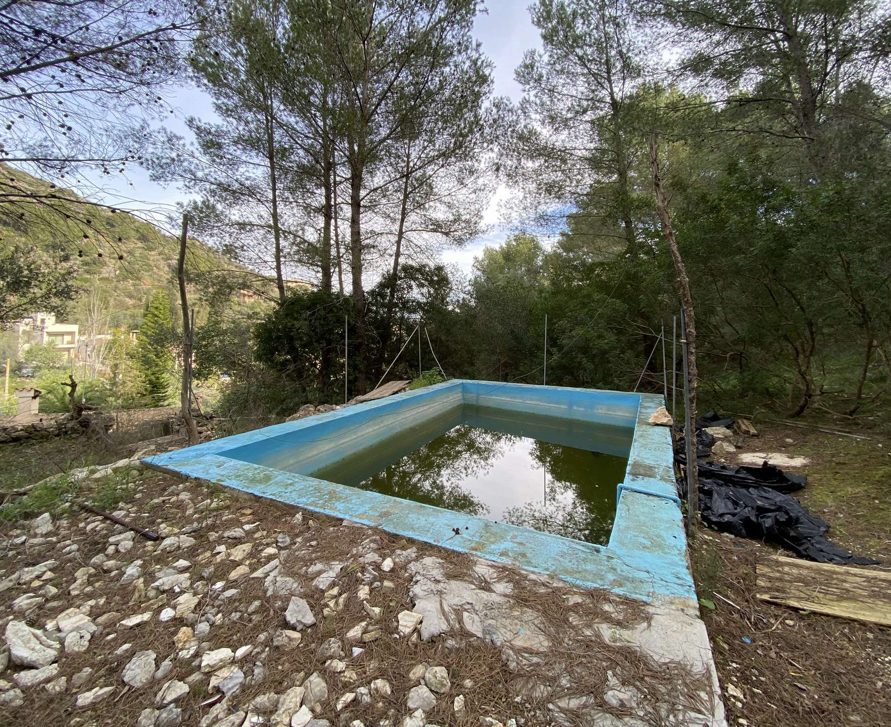 [object Object] - image