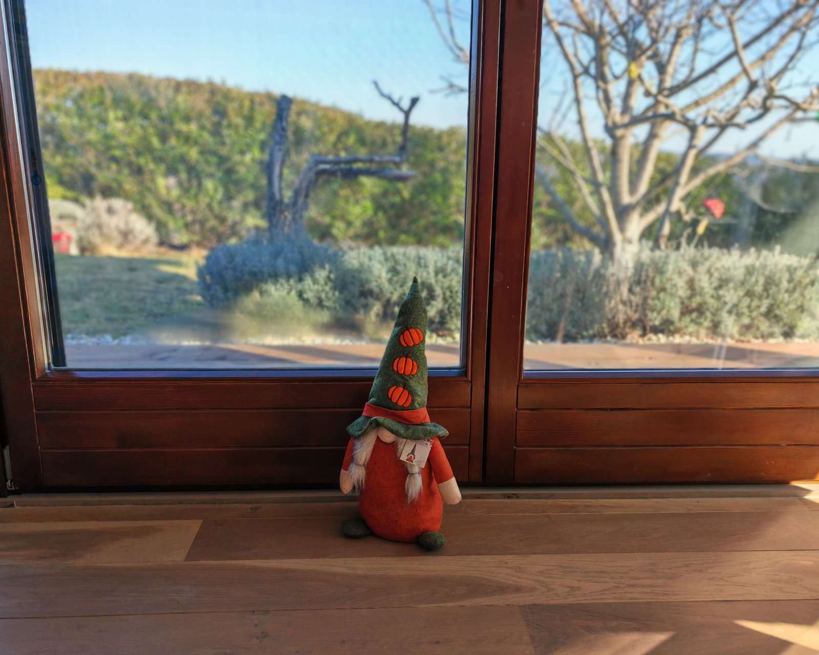 [object Object] - image