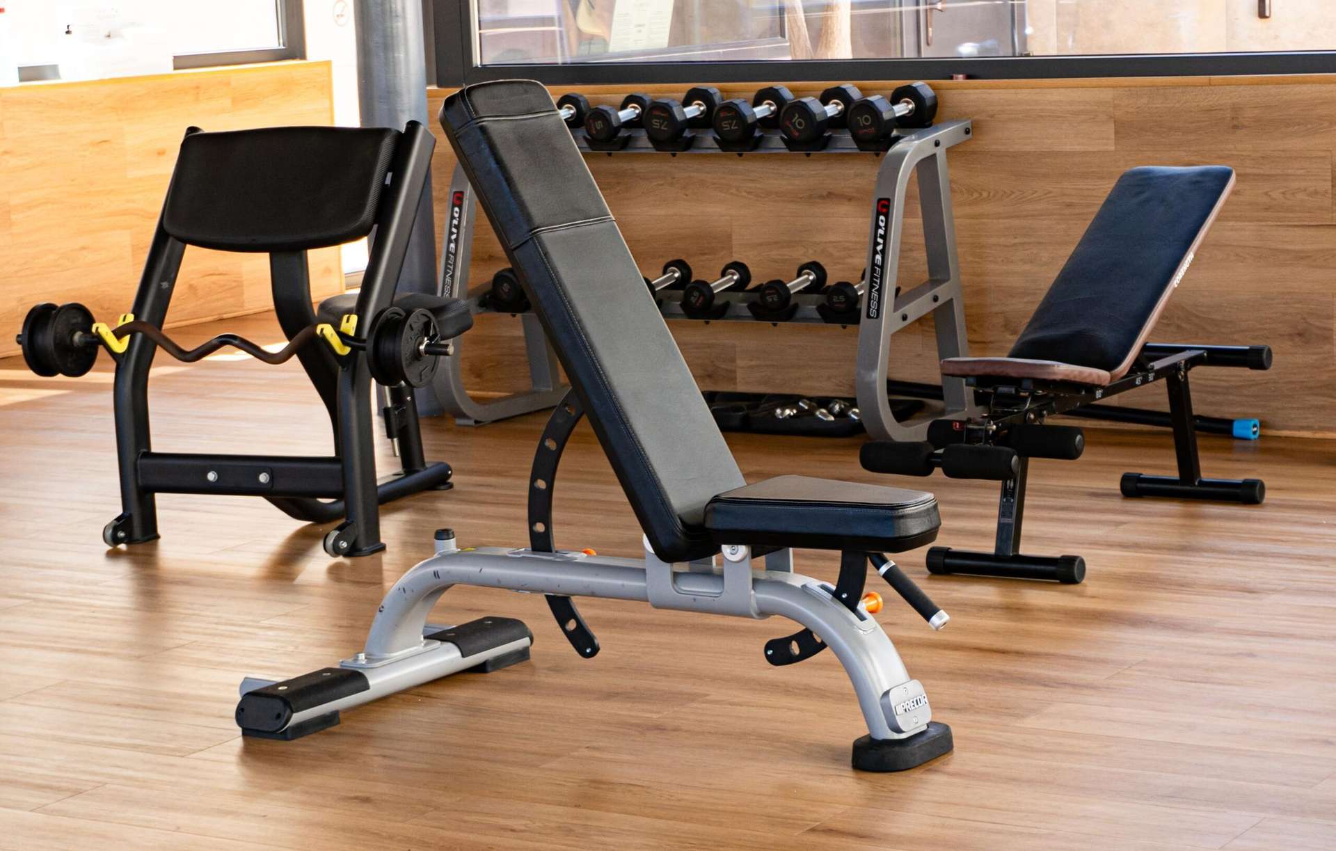 [object Object] - image