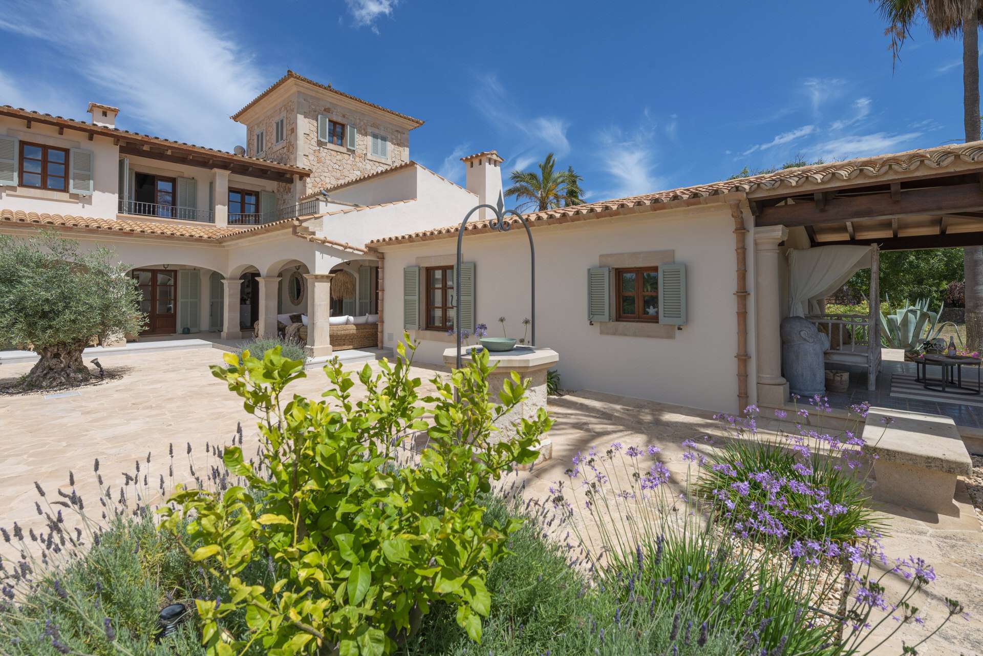 [object Object] - image