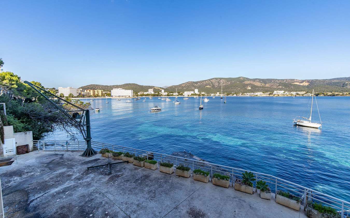 [object Object] - image