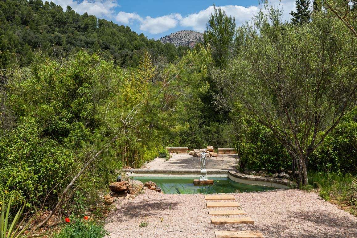 [object Object] - image