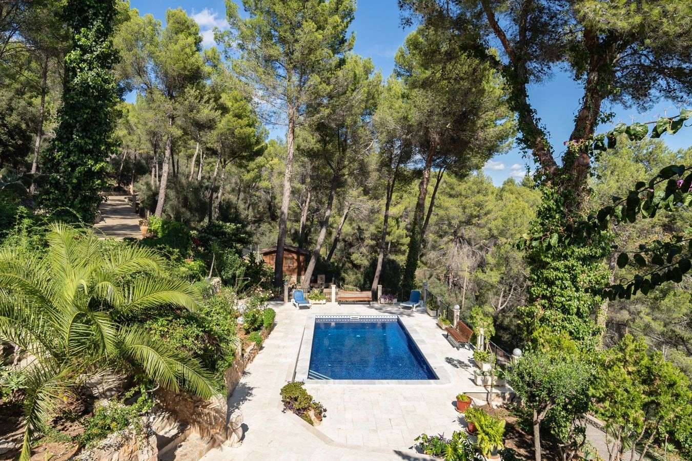 [object Object] - image