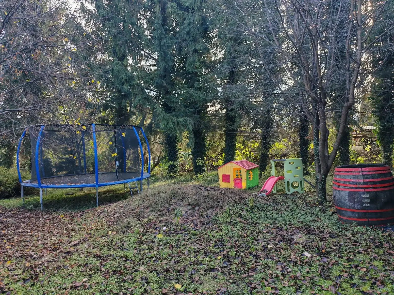 [object Object] - image