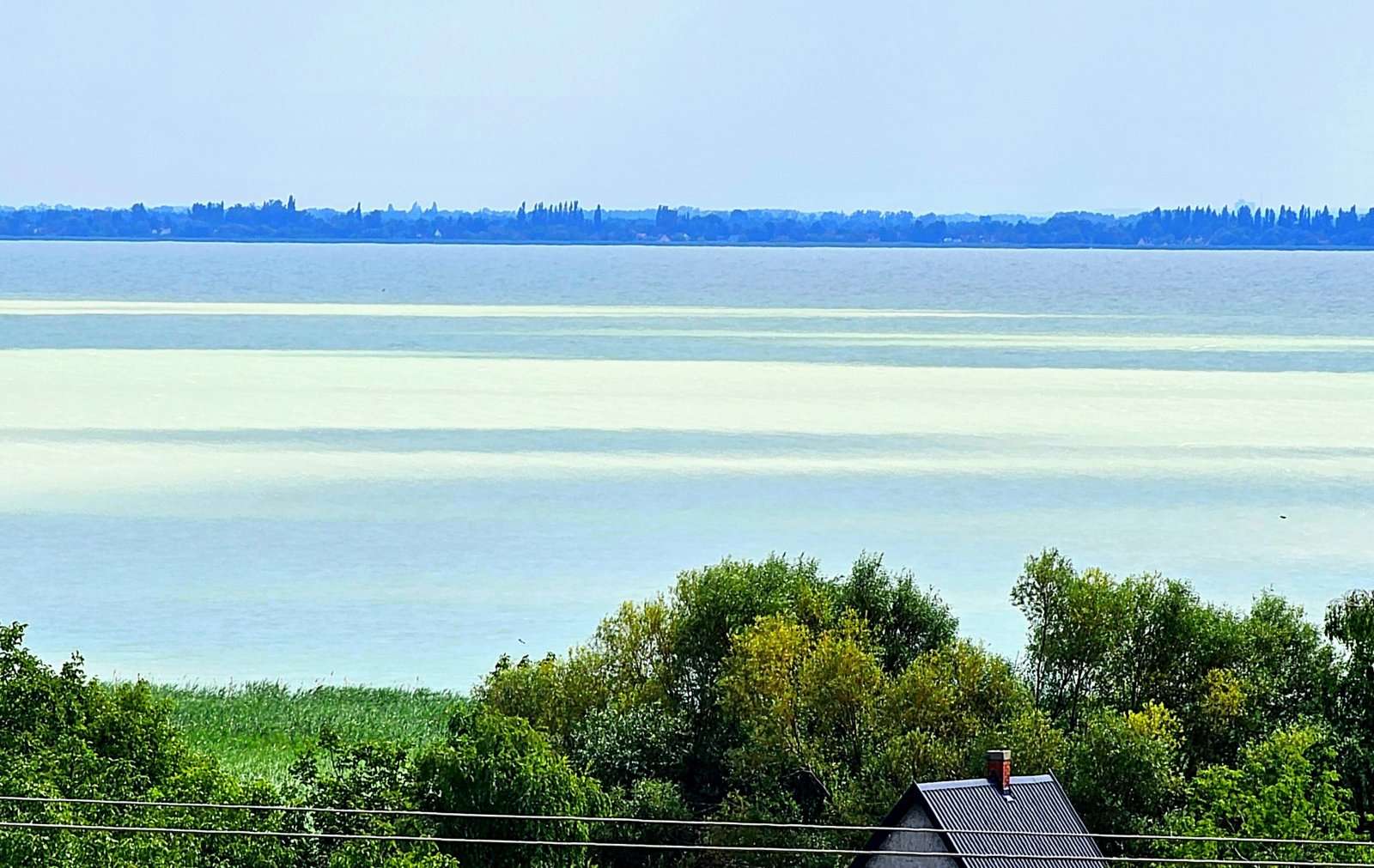 [object Object] - image