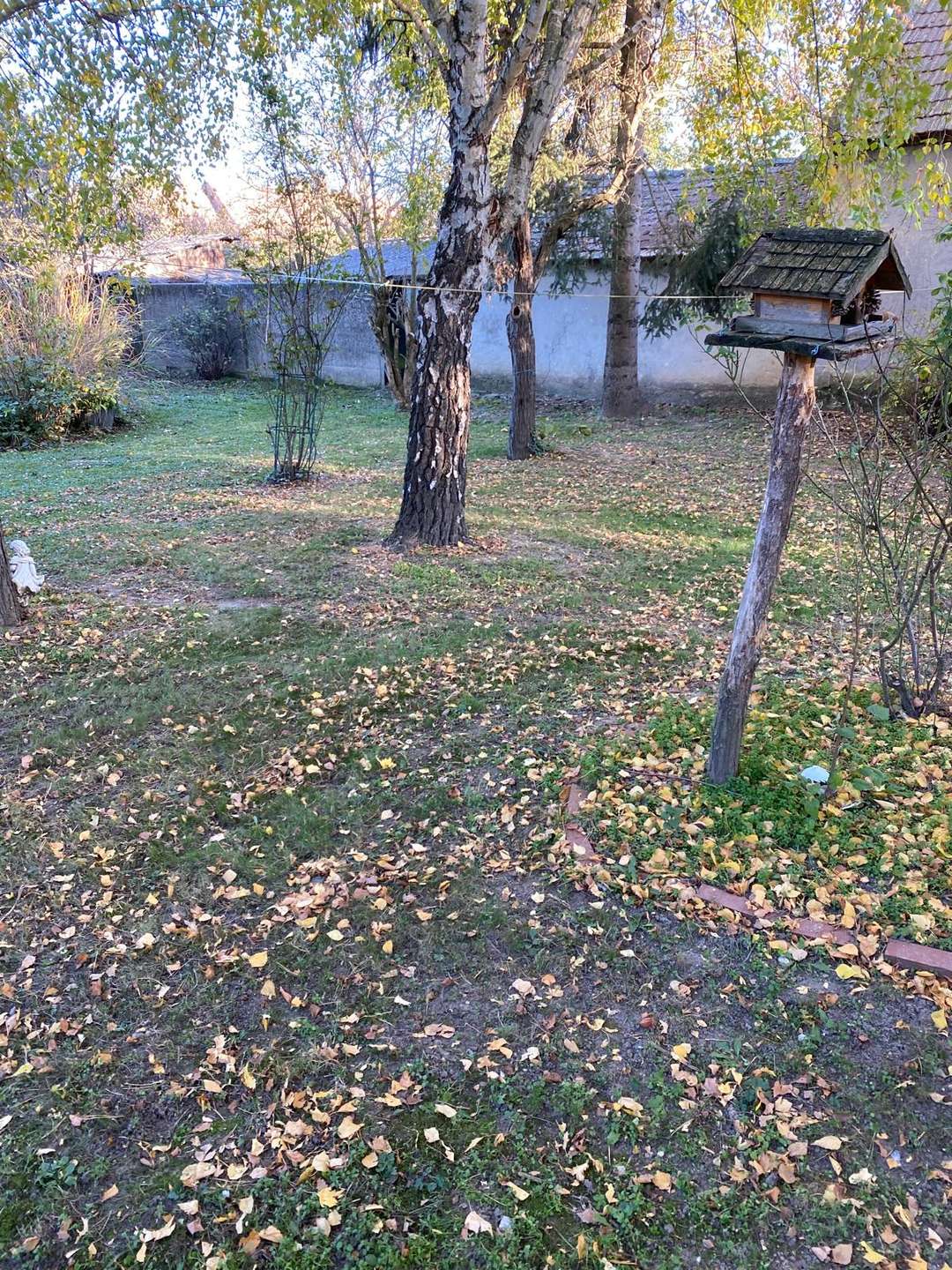 [object Object] - image