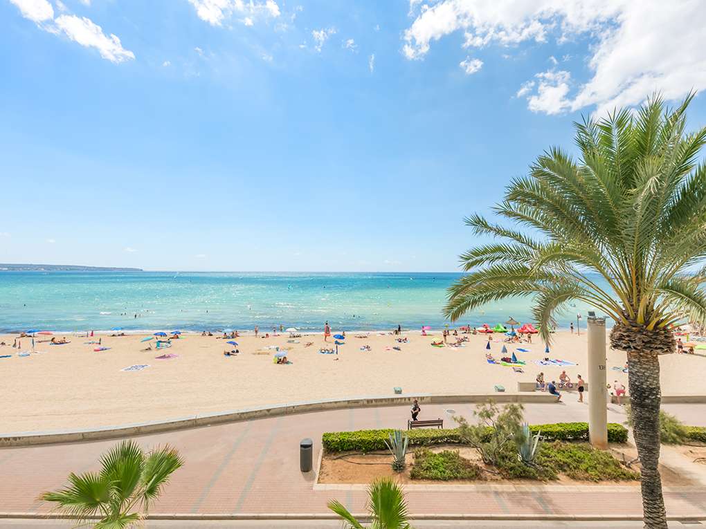 [object Object] - image