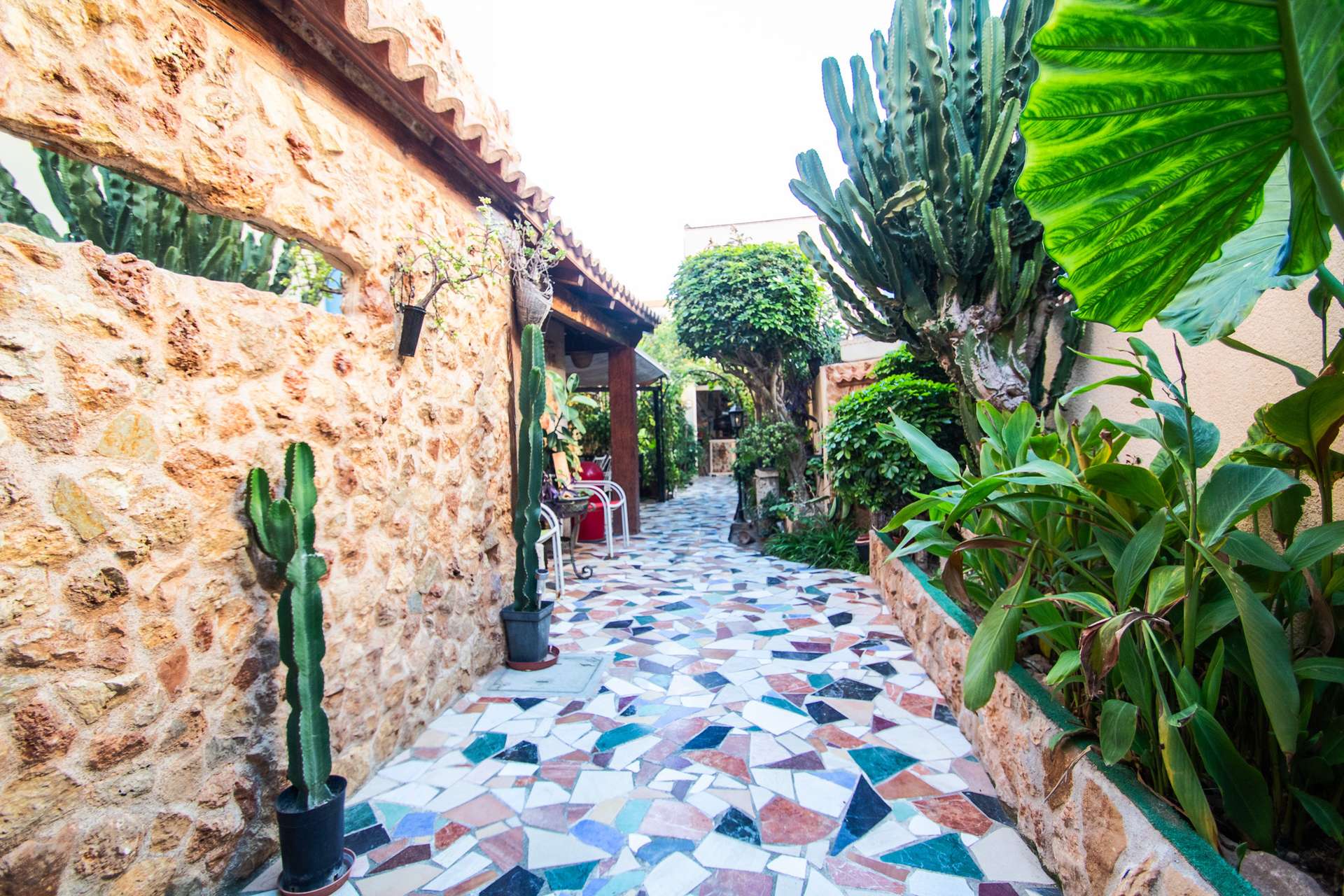 [object Object] - image