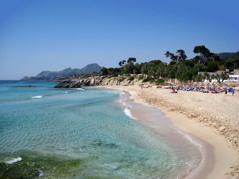 [object Object] - image