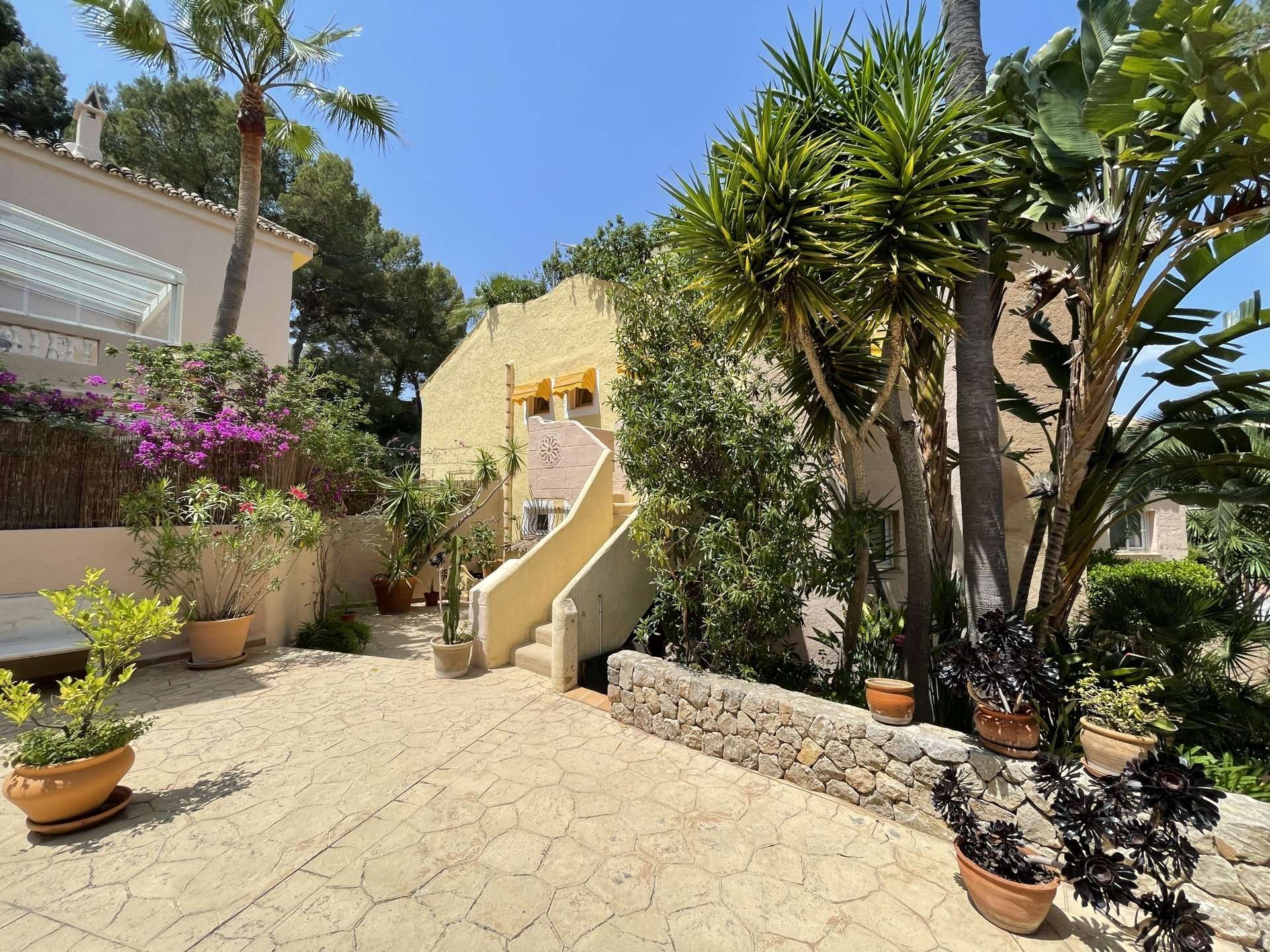 [object Object] - image