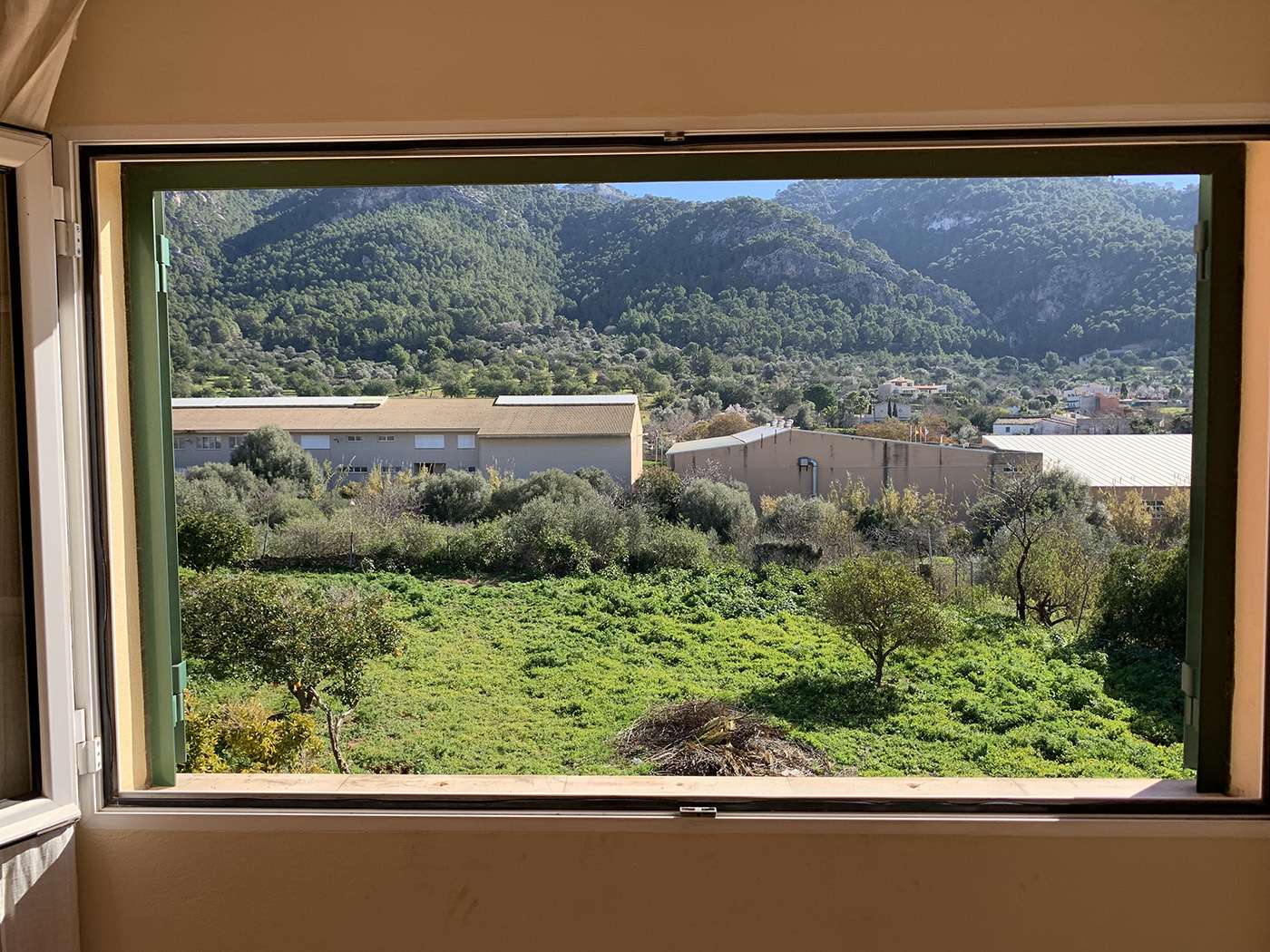 [object Object] - image