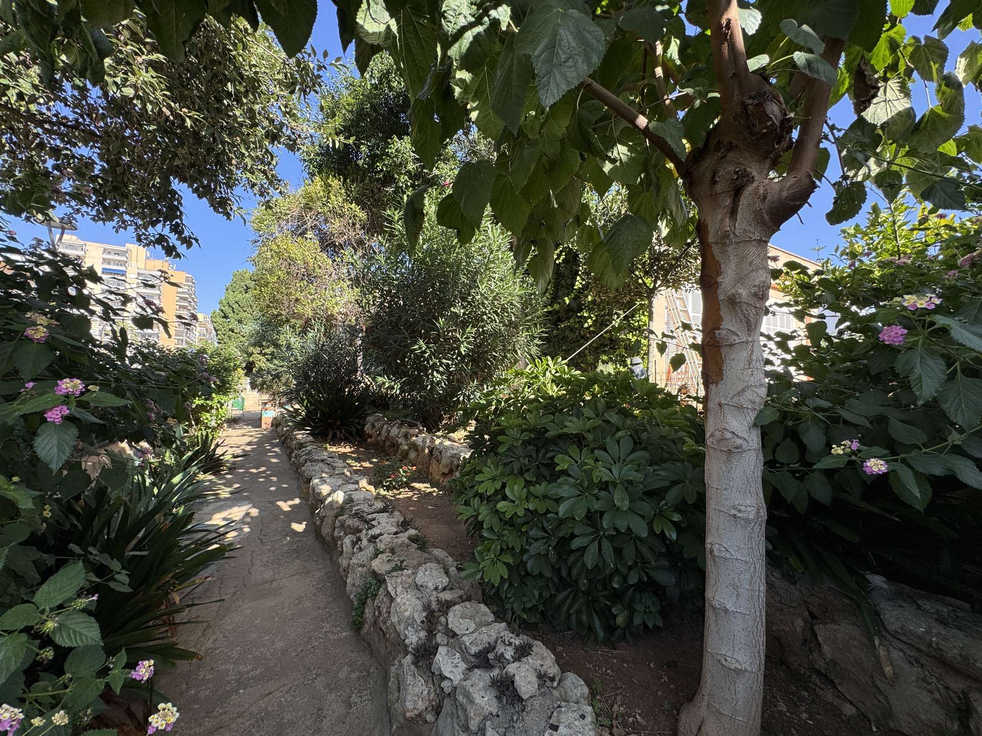 [object Object] - image