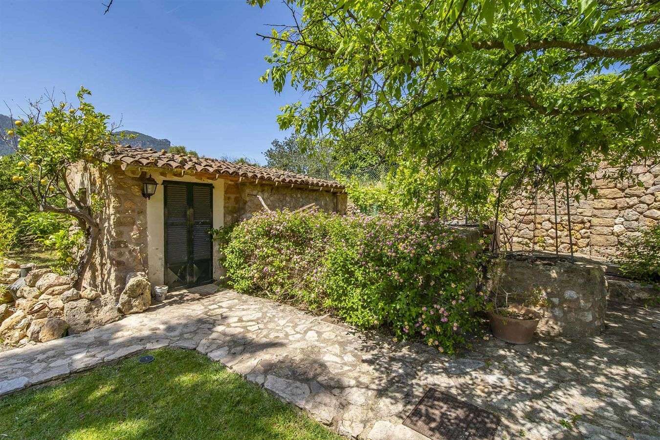 [object Object] - image