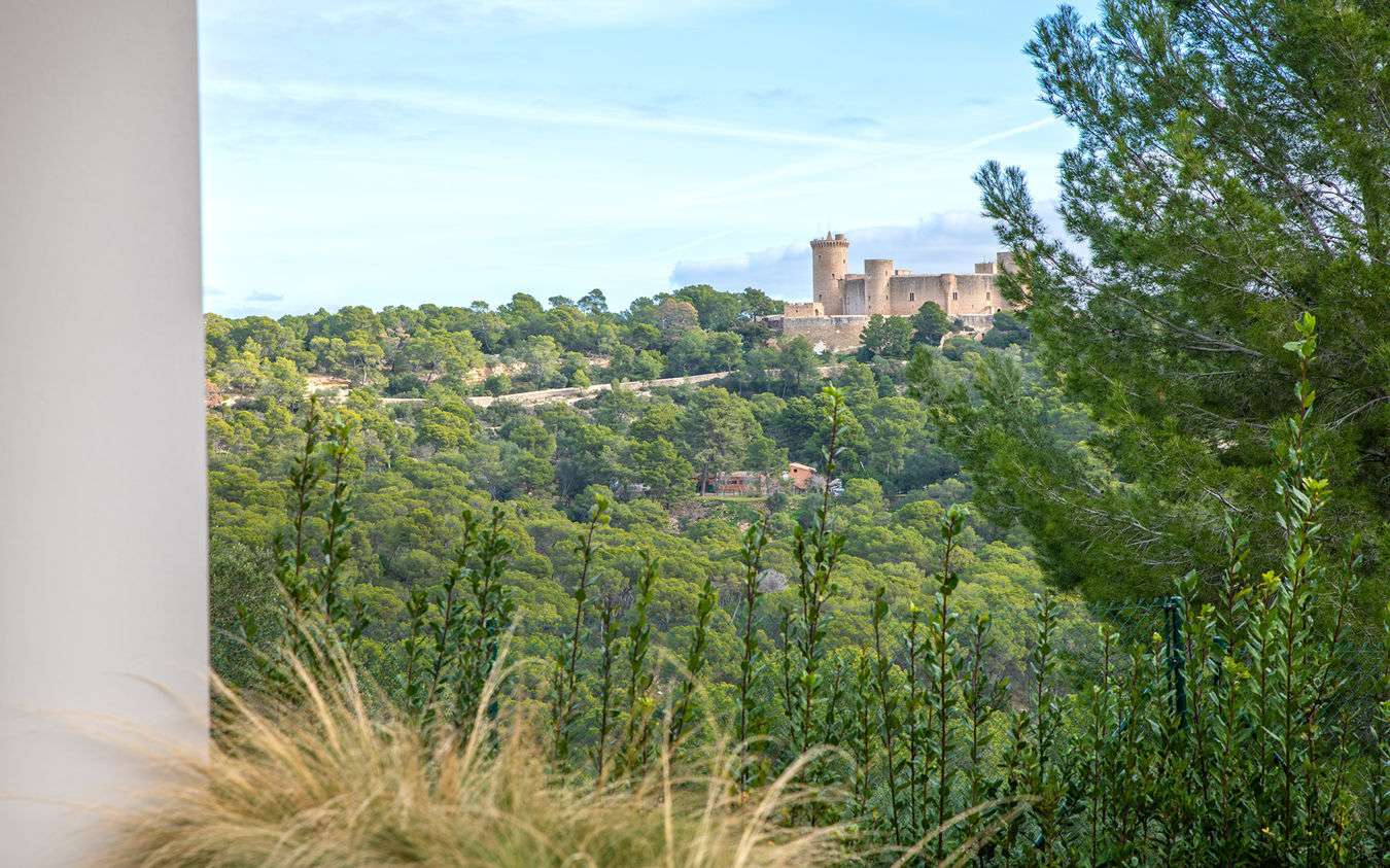 [object Object] - image