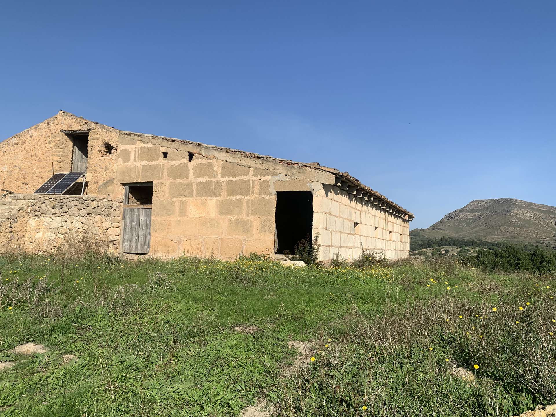 [object Object] - image