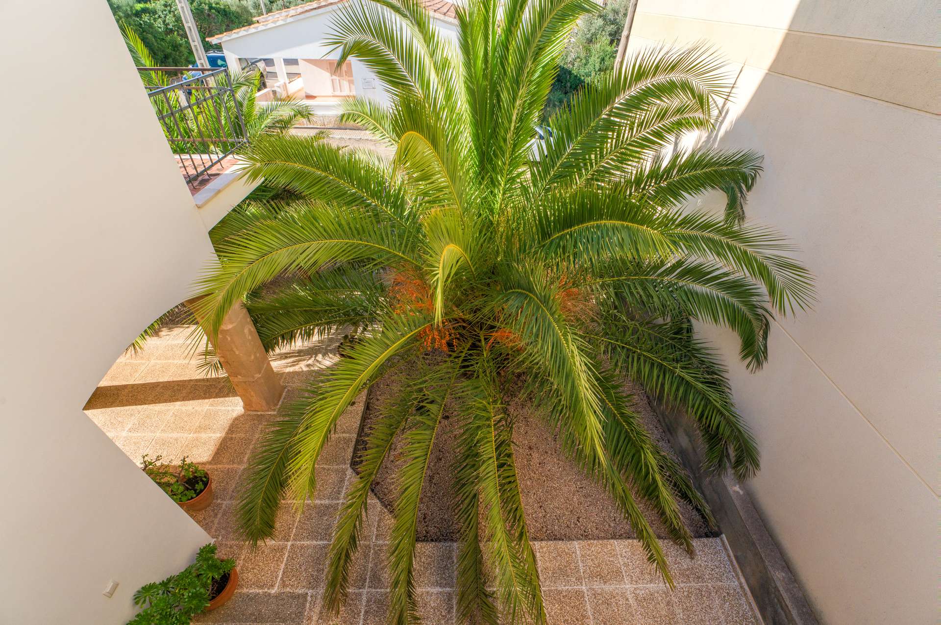 [object Object] - image