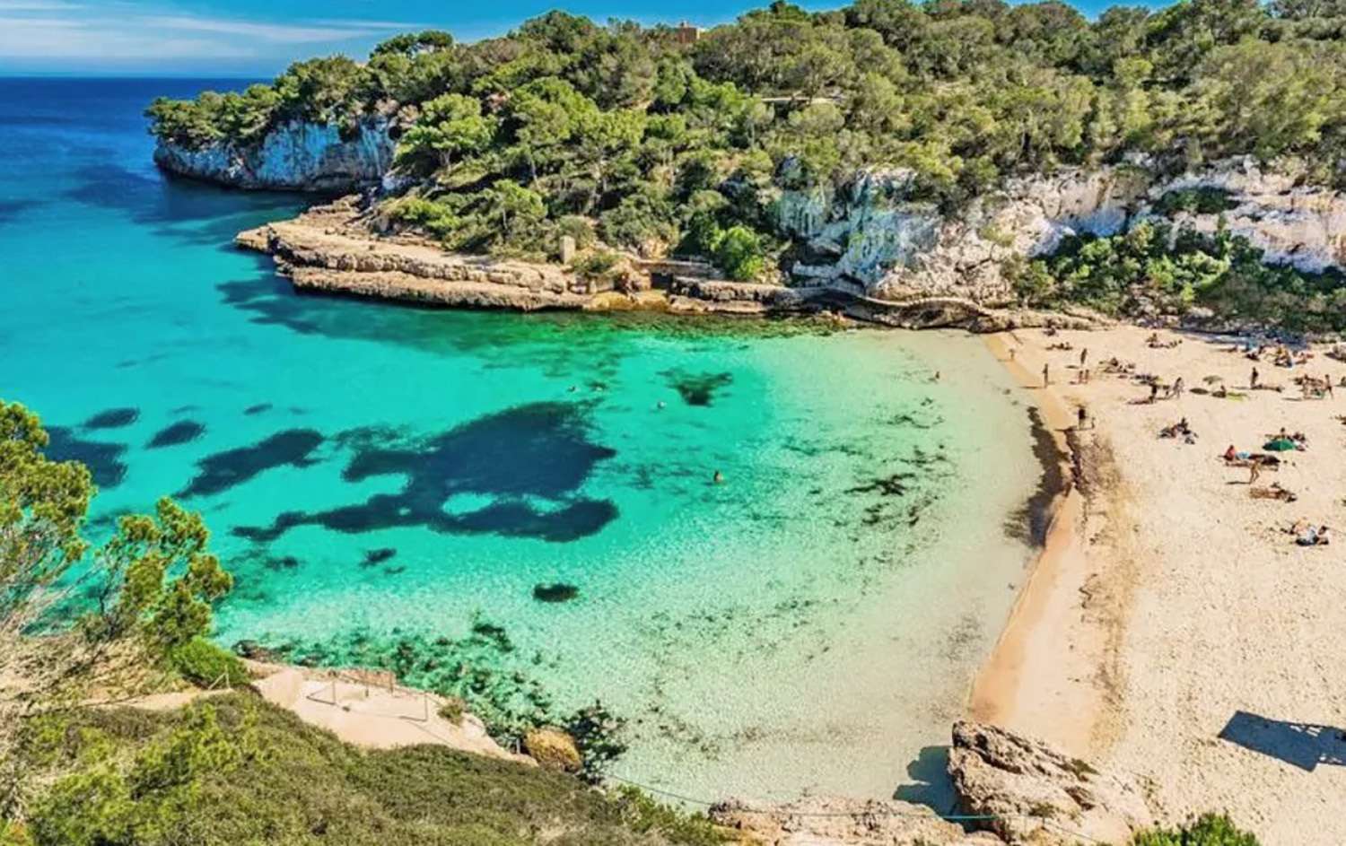 [object Object] - image