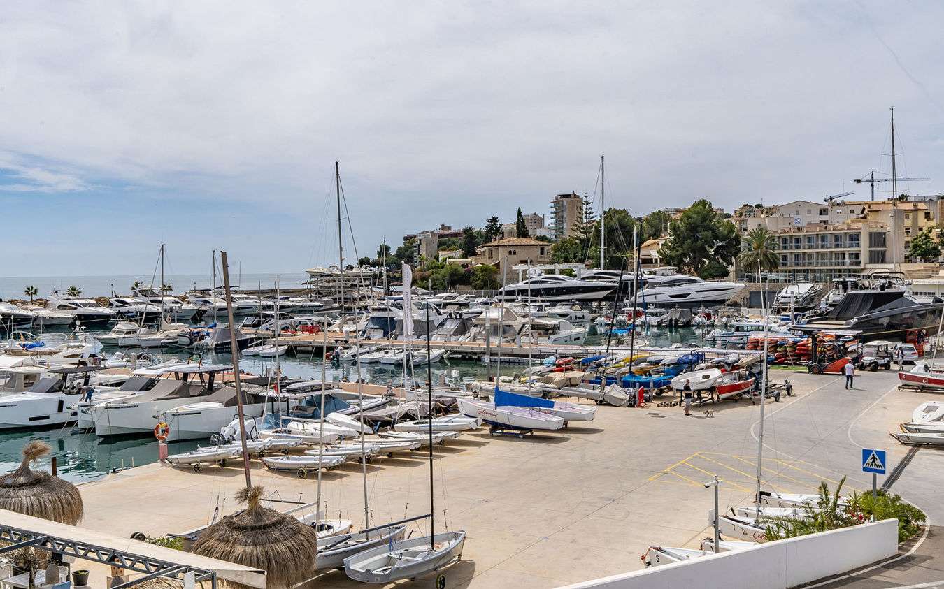 [object Object] - image