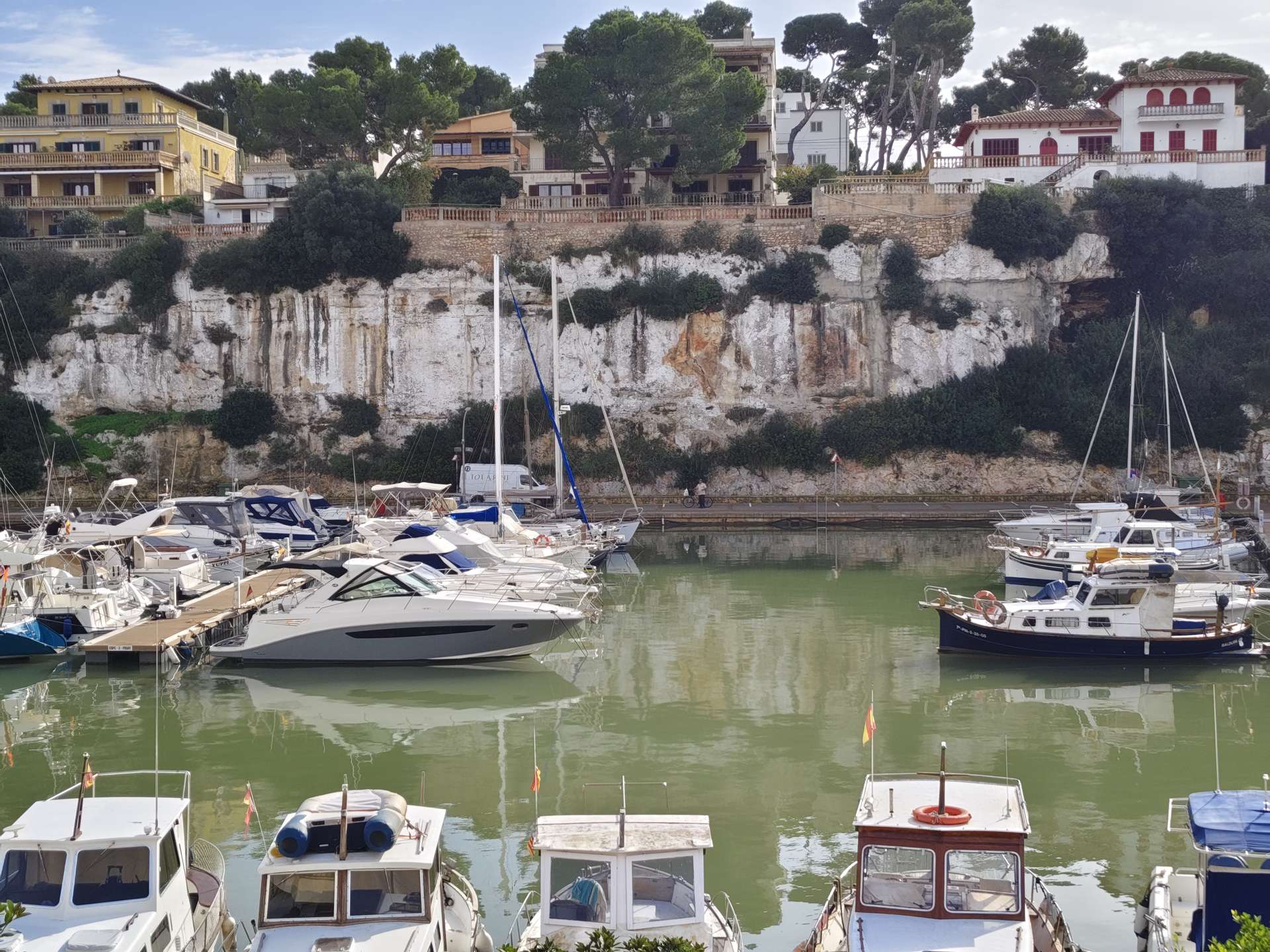 [object Object] - image