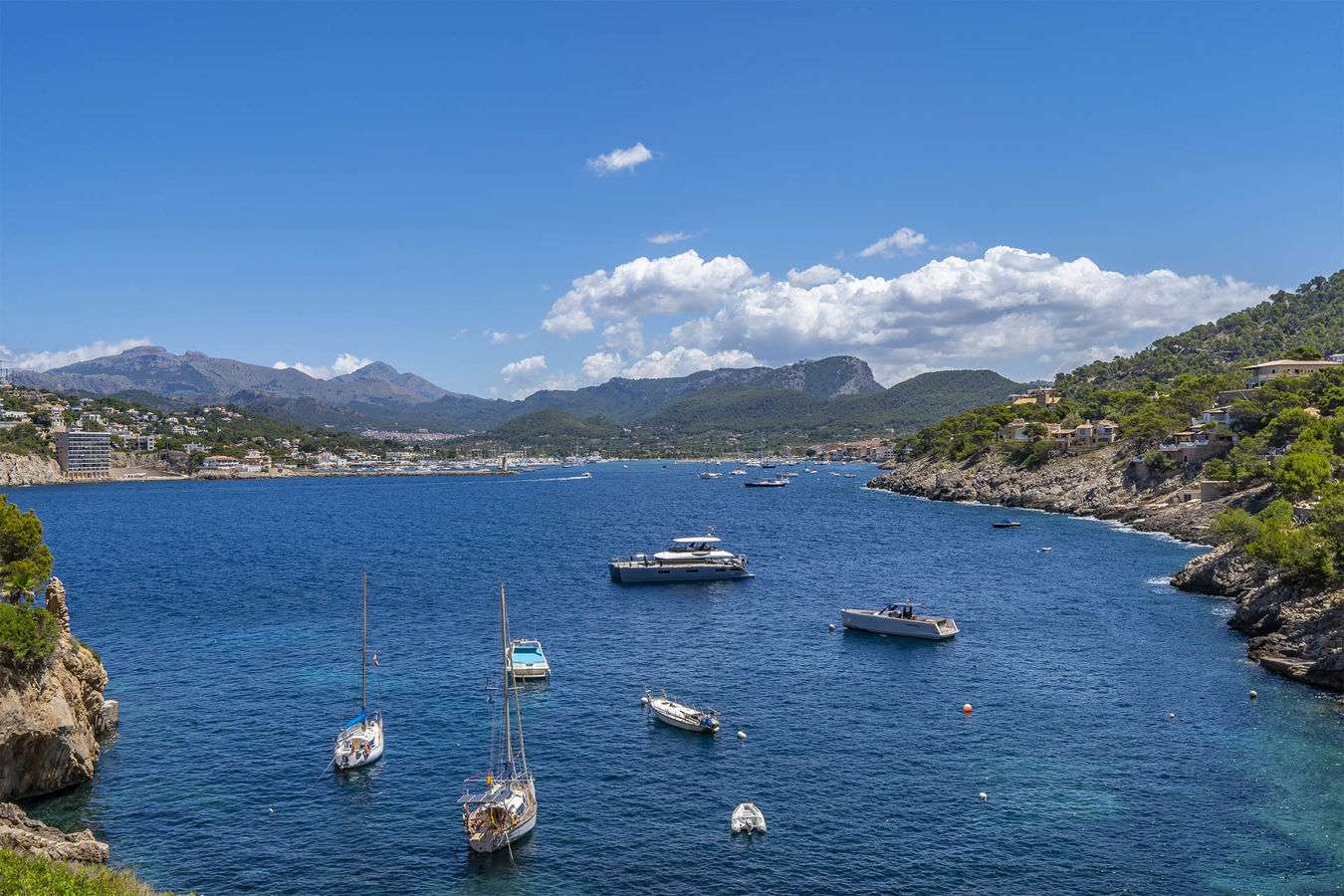 [object Object] - image